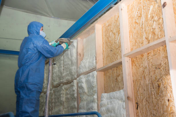 Best Insulation for New Construction  in Ridgewood, NJ